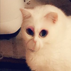 Meet your Posher, Anna